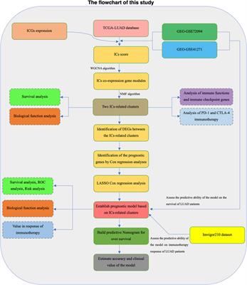 Identification of lung adenocarcinoma subtypes and predictive signature for prognosis, immune features, and immunotherapy based on immune checkpoint genes